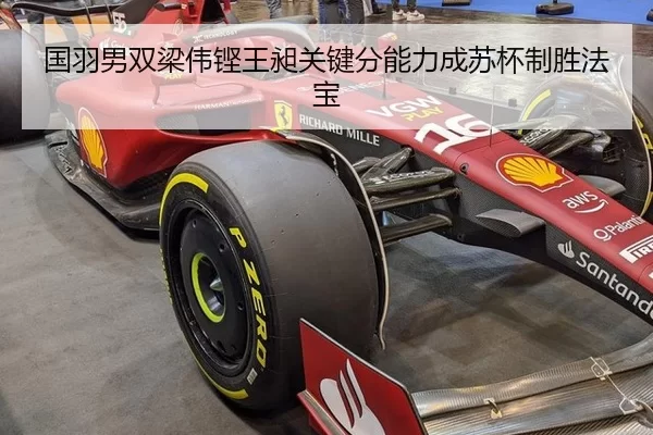guo-yu-nan-shuang-liang-wei-keng-wang-chang-guan-jian-fen-neng-li-cheng-su-bei-zhi-sheng-fa-bao-2-211.jpg
